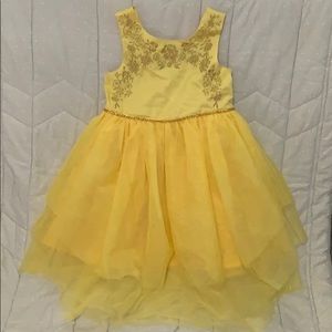 Disney Princess Belle dress